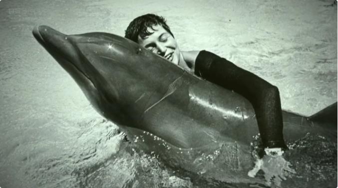 1965年美国进行秘密实验，专家要求一只公海豚和年轻女子24小时同居生活，妄图让