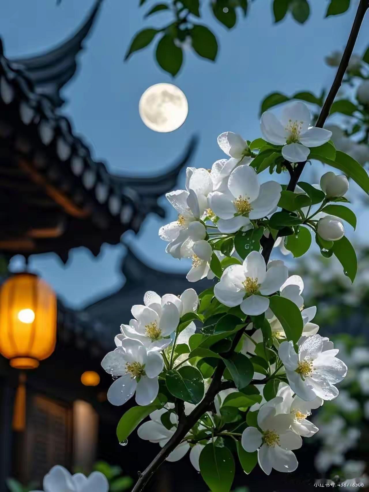 上联:一川烟雨皆如画
下联:半生风霜独入梦
横批:岁月静好