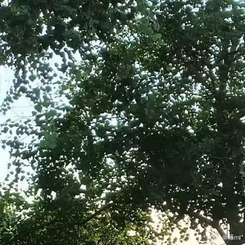 阳光信用❤️阳光信用❤️阳光信用 每日一善在人生的旅程中，每个人的生活都离不开别
