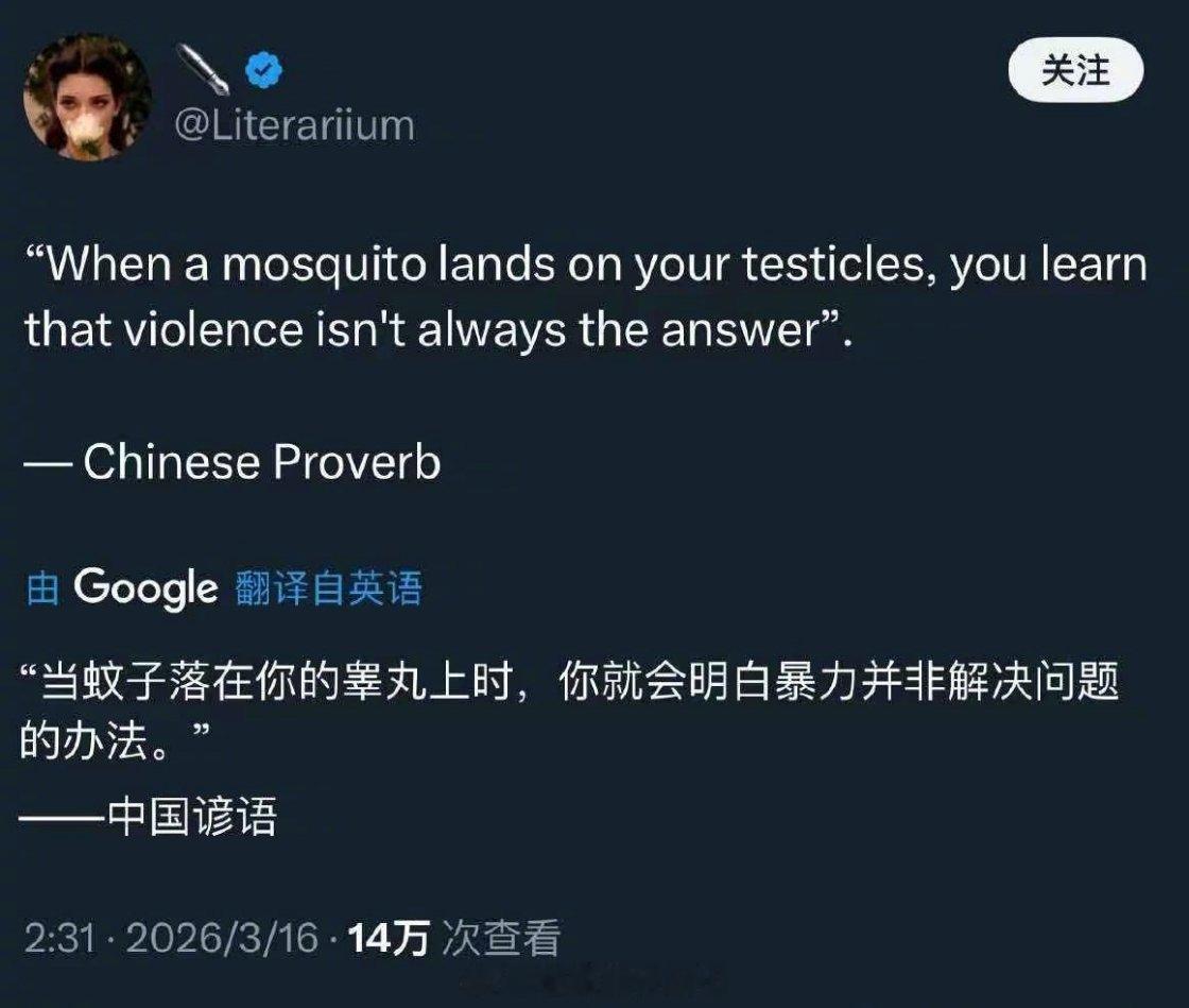当蚊子落在你睾丸上时，你就会明白暴力并非解决问题的办法。这句伪中国谚语，比很多真