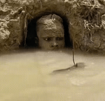 这钓鱼算不算开挂？