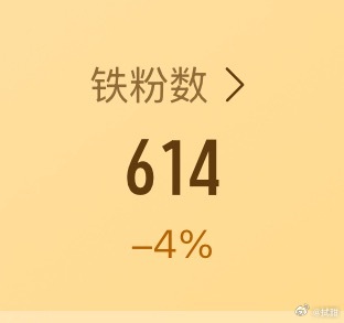 这个-4是什么意思呀 