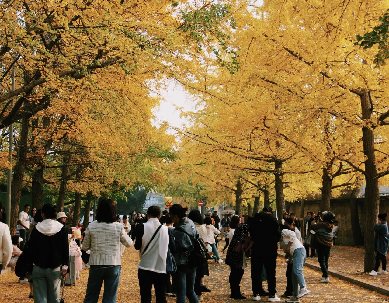 广州这位12岁女孩用英语帮妈妈卖文具赚超10万，真是太牛了！很多人都感叹这是“别