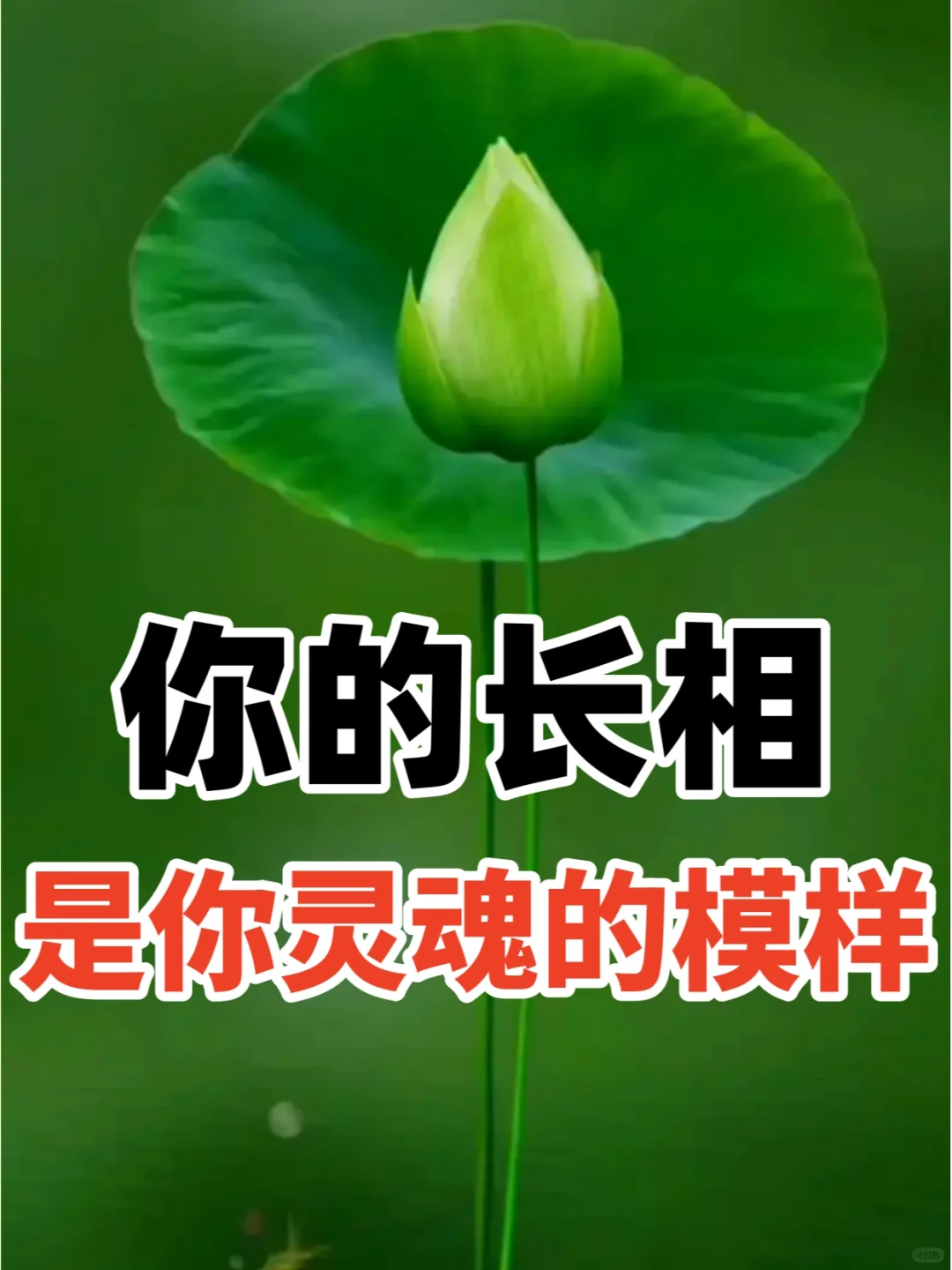 超准：你的长相，就是你灵魂的模样