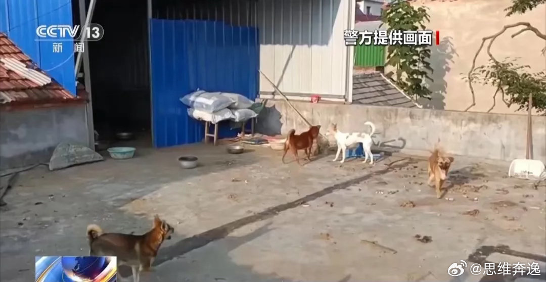 骗250万善款仅3000元用在狗身上不止这一个吧，我看很多动保人士都是这个套路，
