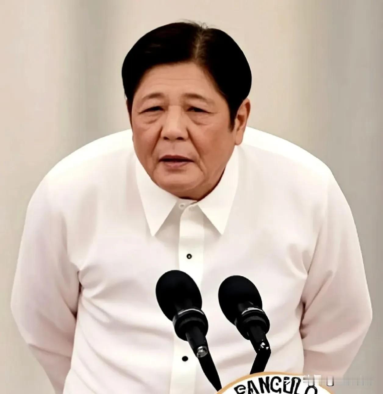刚下飞机就被“打脸”！菲总统访日求合作，自家百姓先炸锅了！

2026年5月26