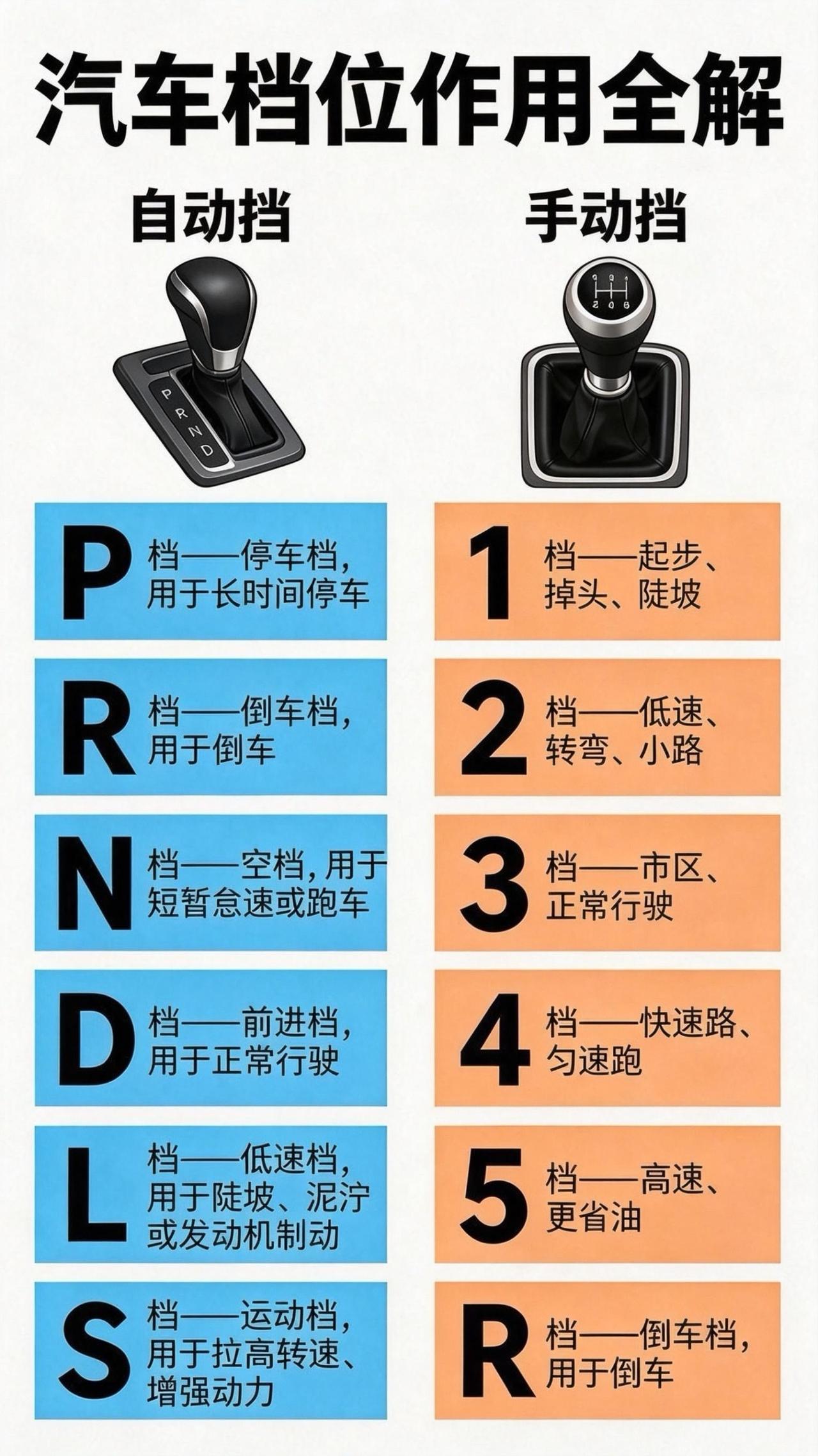 驾校没教的冷知识 汽车档位 新手学车常识 实用干货分享 手动挡