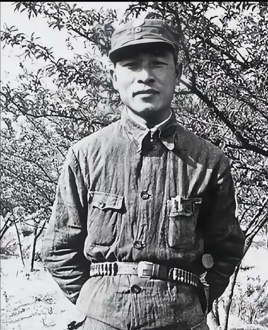 彭雪枫，1907年出生于河南镇平县安子营乡七里庄。18岁入党，25岁当师长，历经
