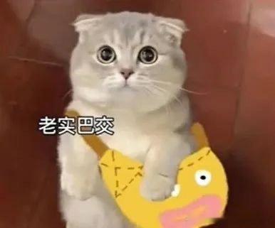 上班后消费观突然就变了上学时只管肆意消费，从不担忧生活开销，踏入职场体会赚钱辛苦