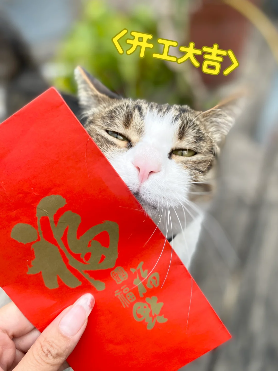 我也有红包啦！