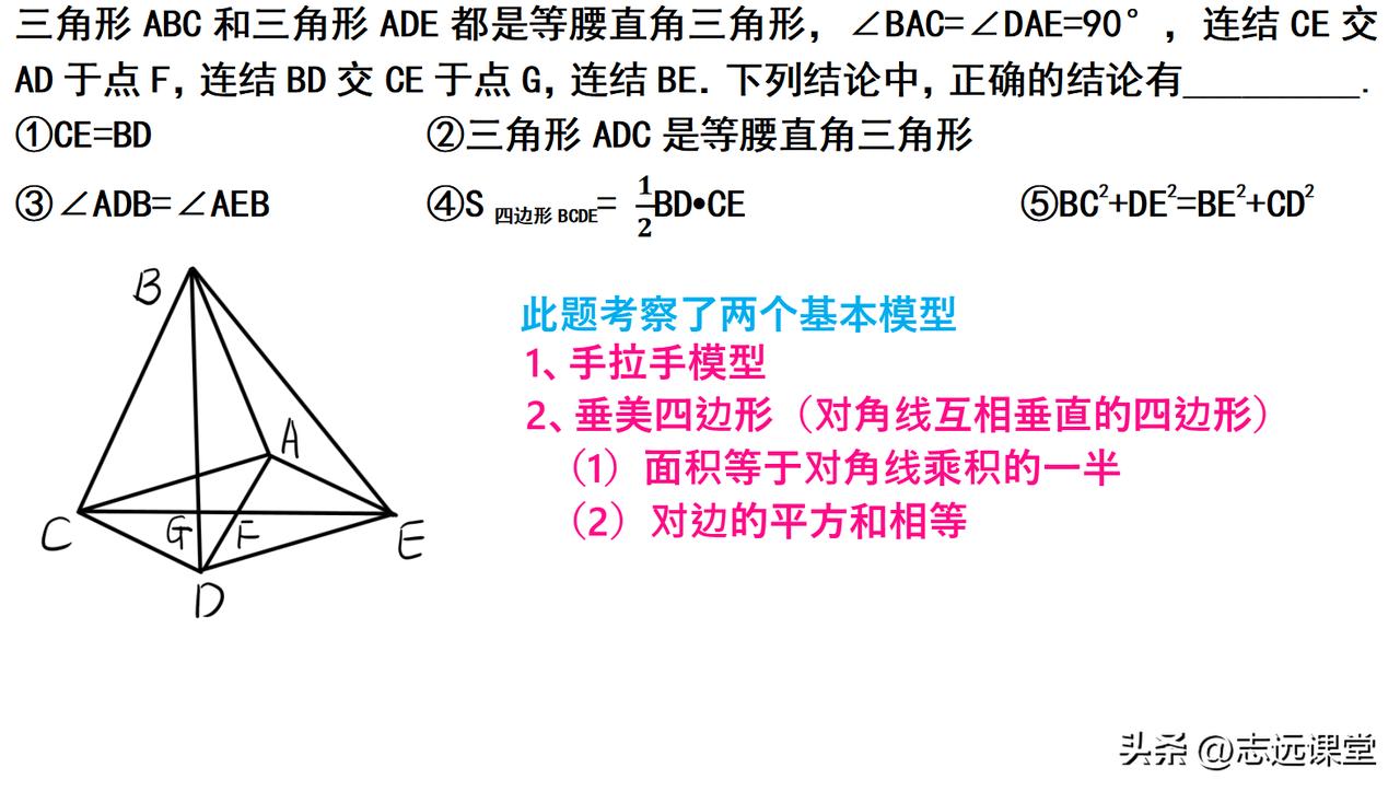 初中数学，压轴题基本模型。两个相似三角形，有手拉手全等三角形。对角线互相垂直的四