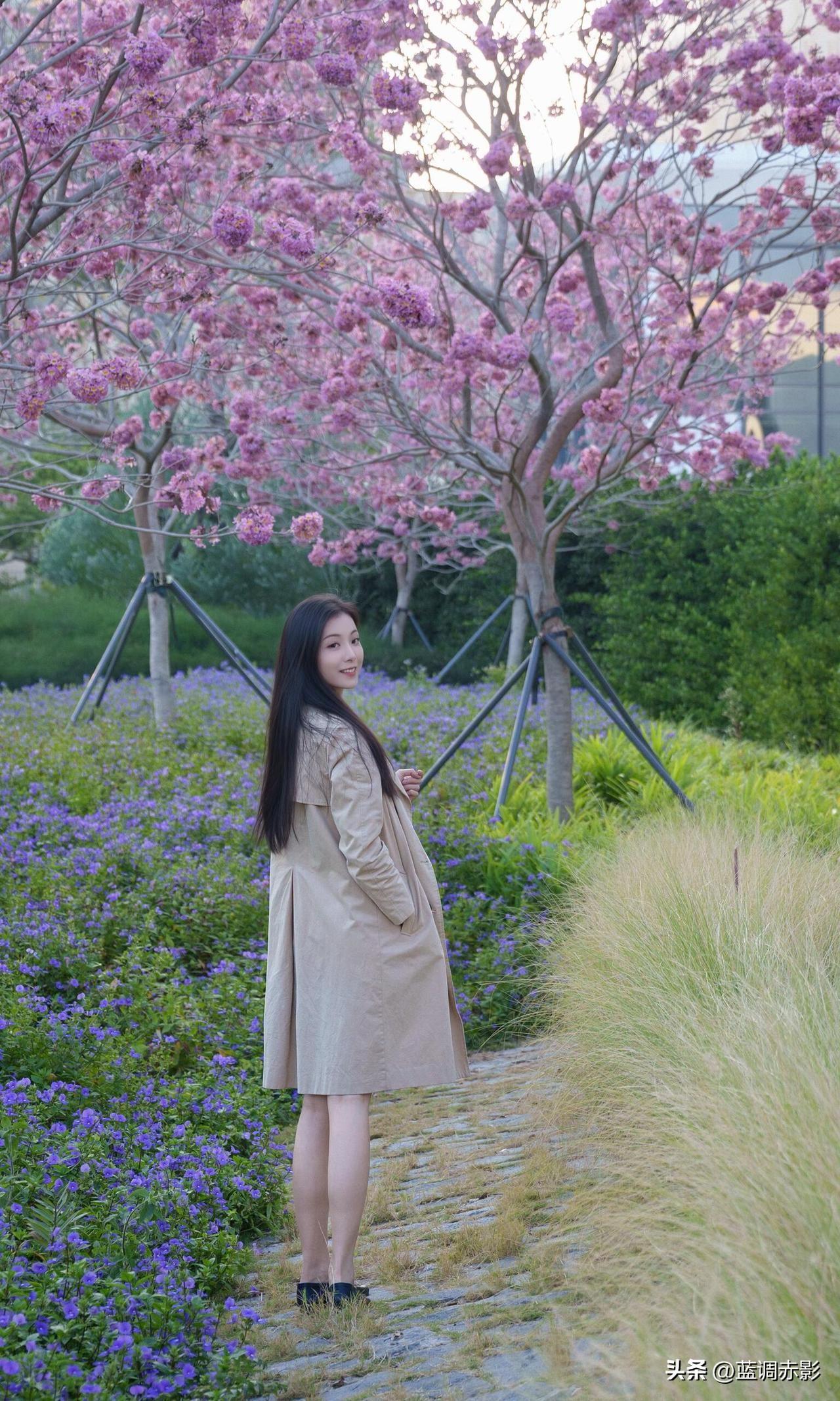 天南地北大拜年