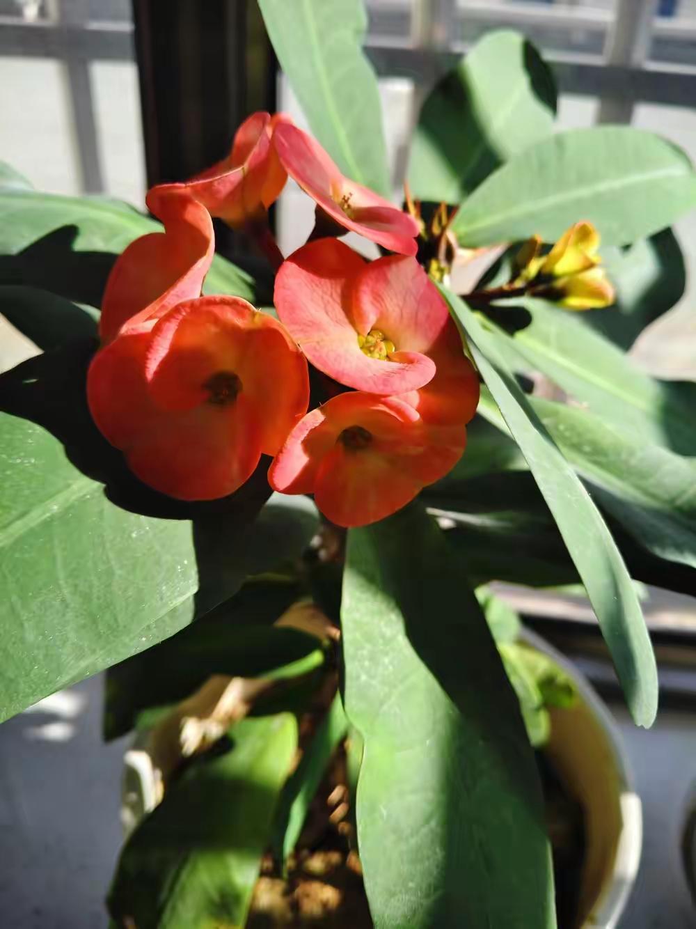 办公室同事最近超爱买套装，问她为啥这么偏爱，她给的理由让我突然明白——实在懒得搭