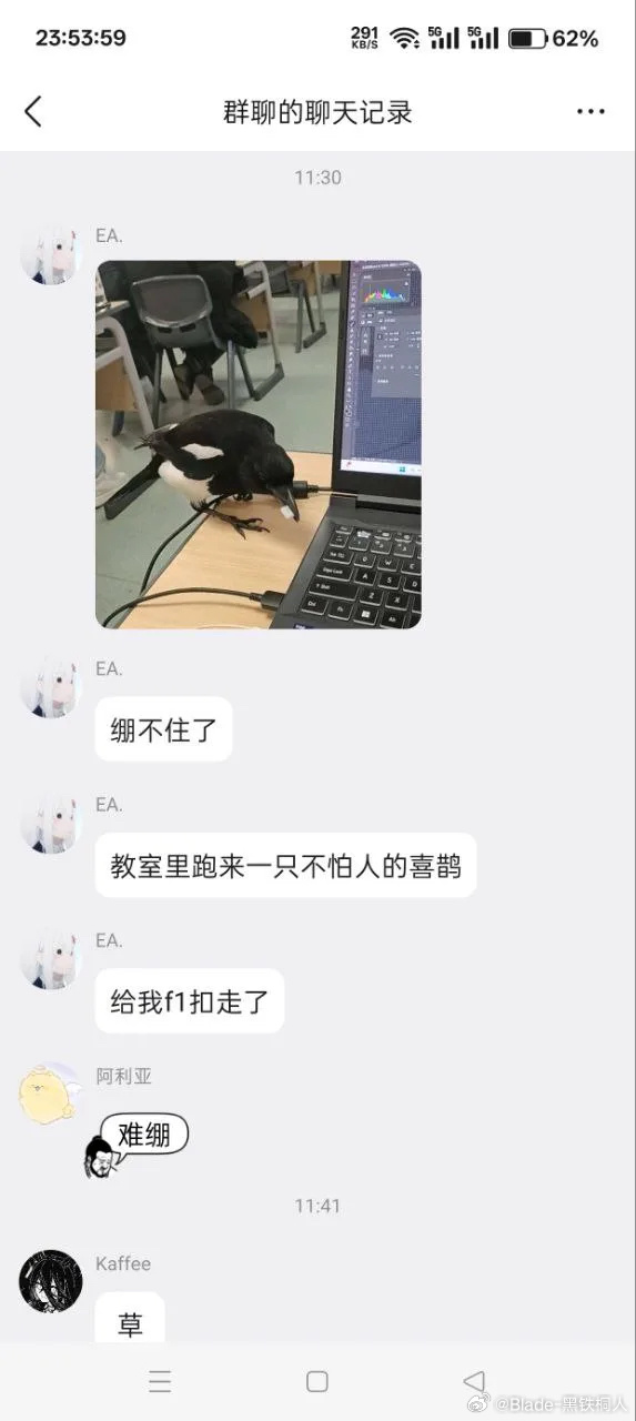 你别说一般鸟嘴还张不了这么大…… 