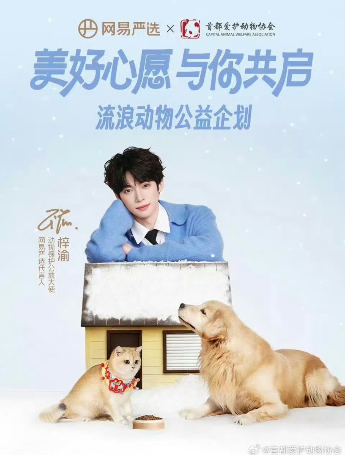 郑道的光 