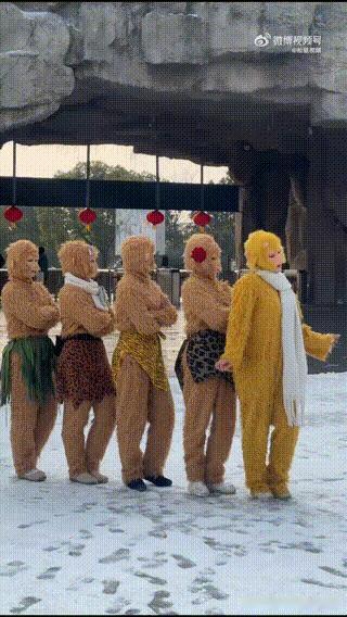 花果山开KTV了？