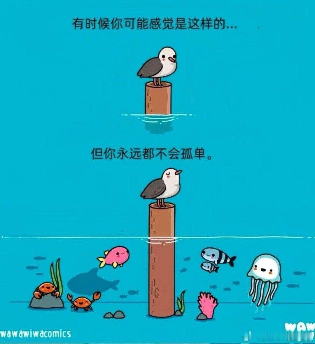 其实你并不孤单 ​​​