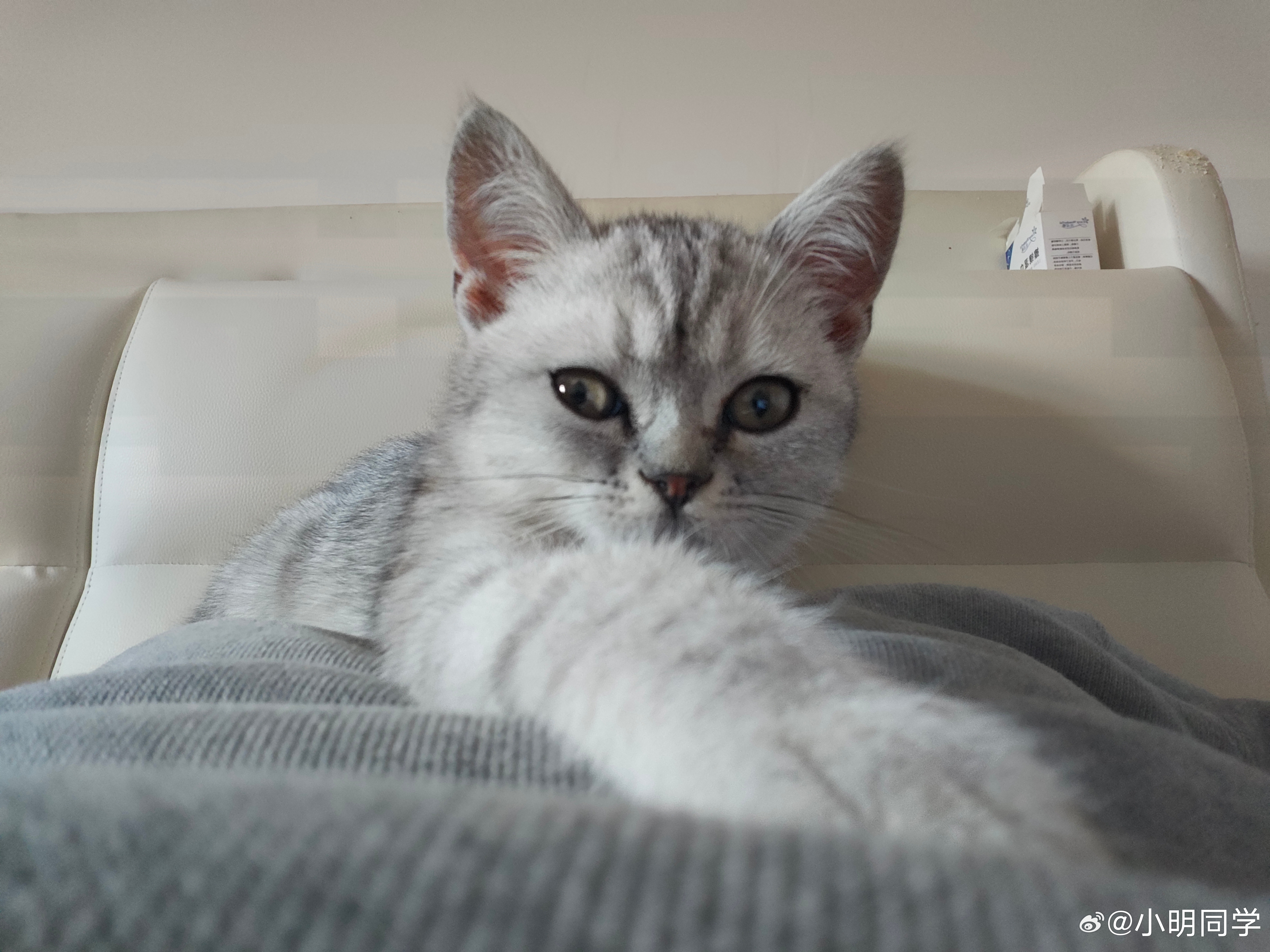 清明节三天假，北京刮了三天大风，本来想去公园去搭帐篷，直接被大风劝退了乖乖在家撸