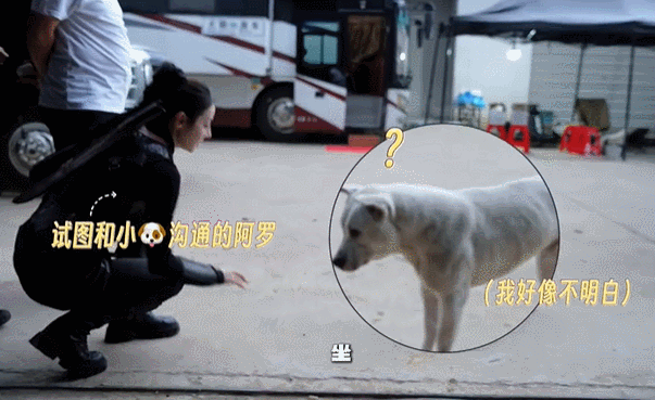 【迪丽热巴和小狗全障碍交流】迪丽热巴私下逗狗工作室发布其拍戏期间的花絮，在片场逗