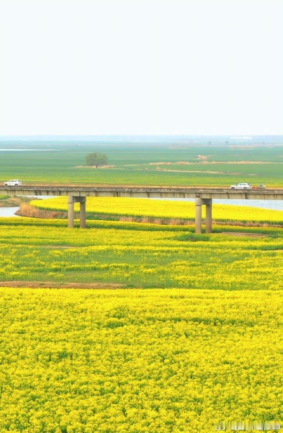 京东将建成全球最大具身数据采集中心 以真实场景为基石，以海量数据为燃料，全球最大