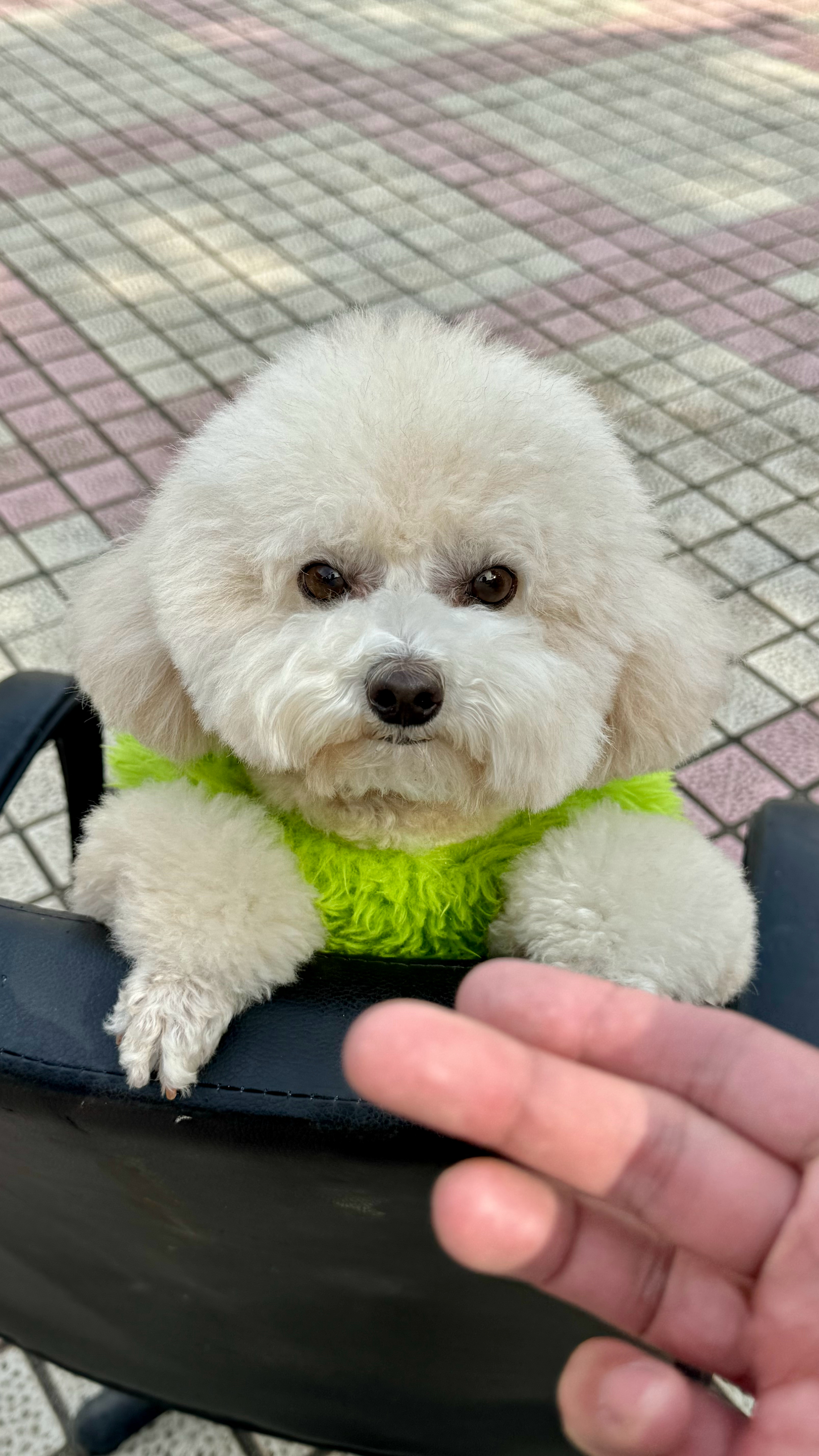 我们家天才好像一直都不太喜欢小朋友，对小朋友总是一脸嫌弃，主要是之前有好几波客栈
