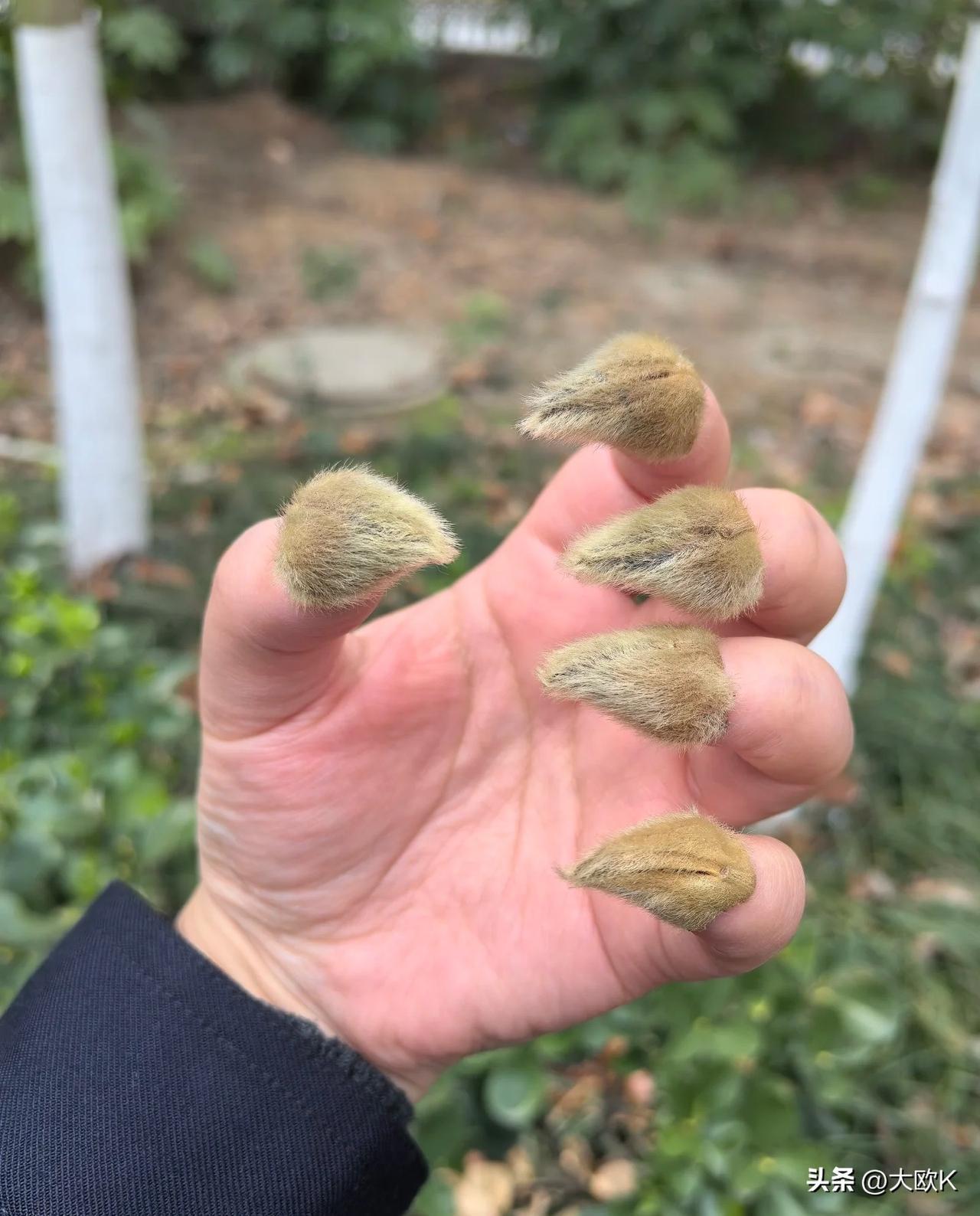 “为啥那么多歇斯底里的中年妇女？
因为她们在和一堵不会说话的墙过日子”
婚姻里，