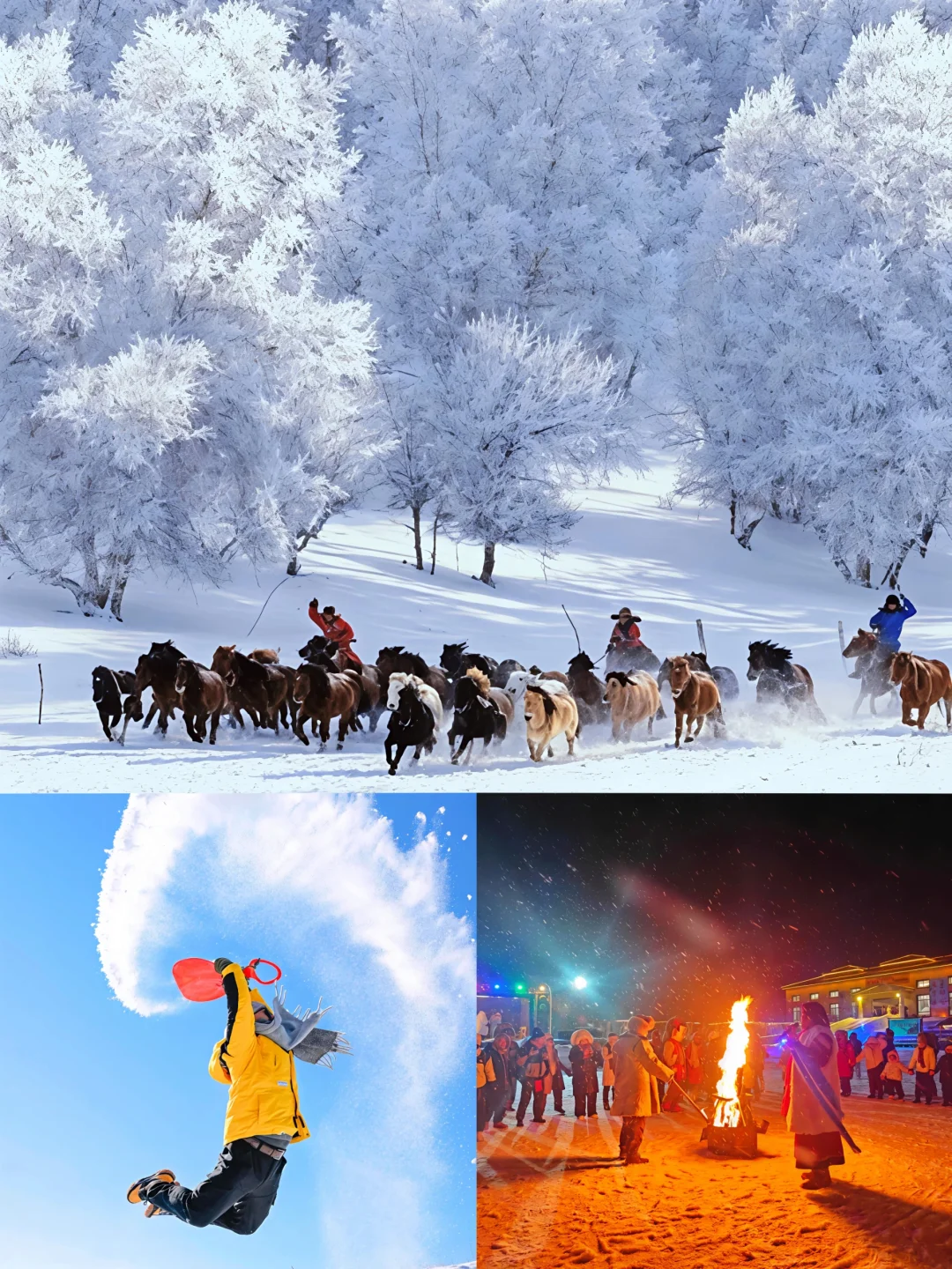 乌兰布统❄️冬日限定治愈图鉴✨