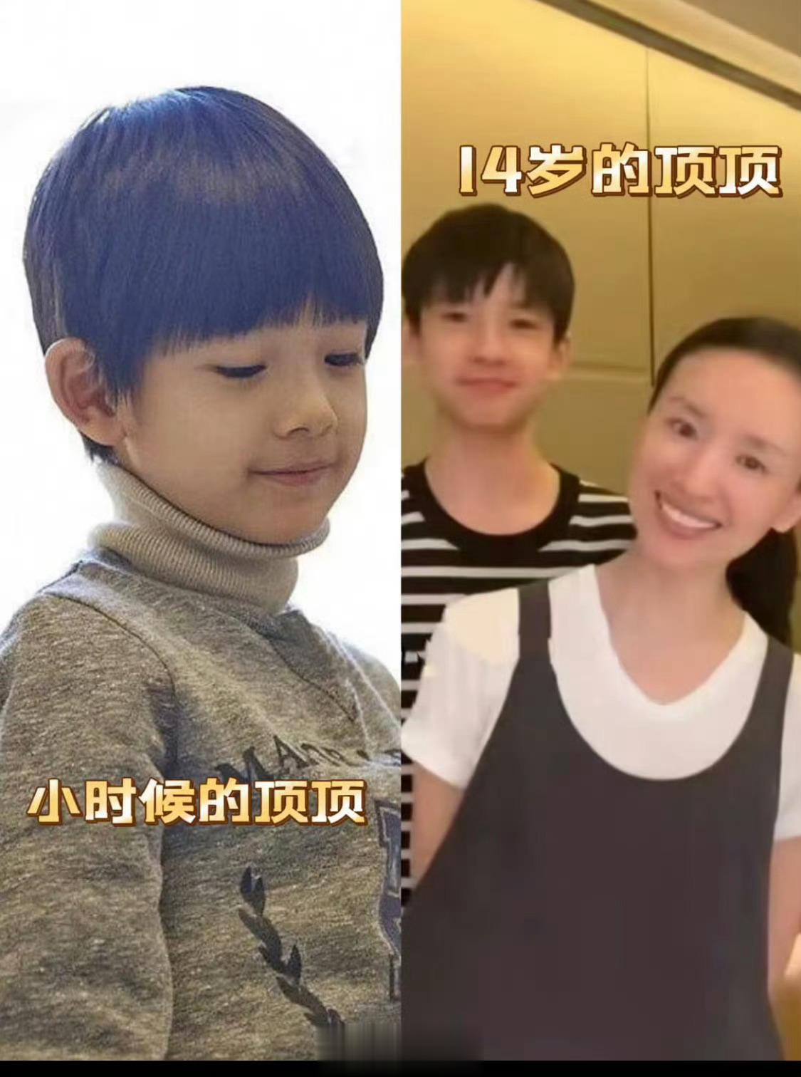 董洁潘粤明儿子顶顶好帅顶顶长得又像董洁又像潘粤明，上半张脸董洁、下半张脸潘粤明，