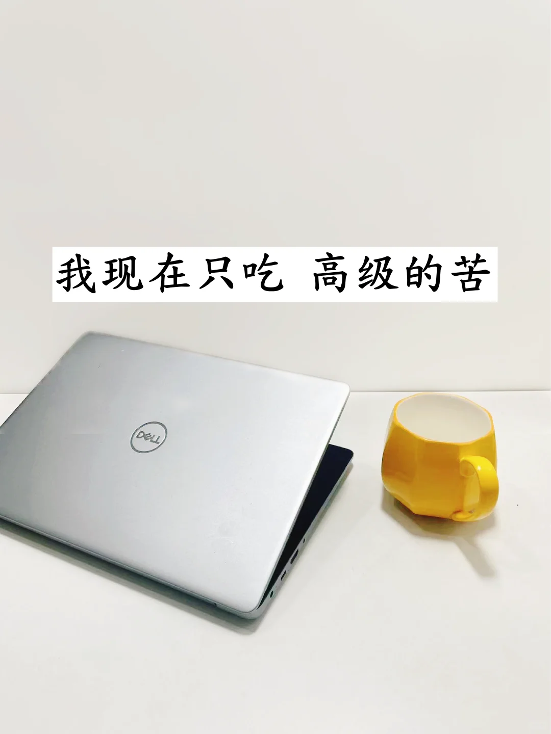 我现在只啃  高级的苦