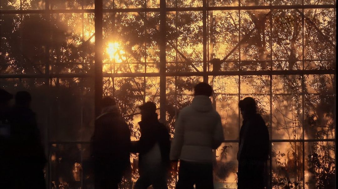 “后陡门的夕阳”多想定格在这一刻 别成回忆啊十个勤天｜ 