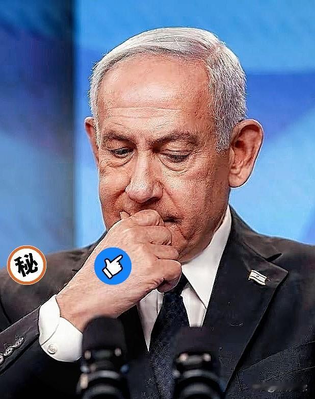 以色列传来消息！
这下咱们可算是开了眼了！
美国副总统居然给以色列总理“汇报工作