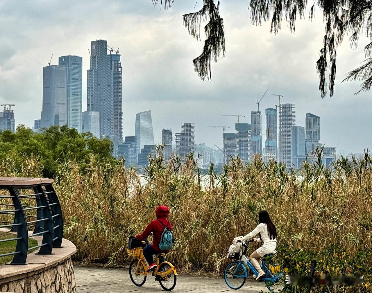 深圳湾真是拍照打卡的宝藏地！深圳湾公园海岸线约13公里，有14个主题公园，山、海