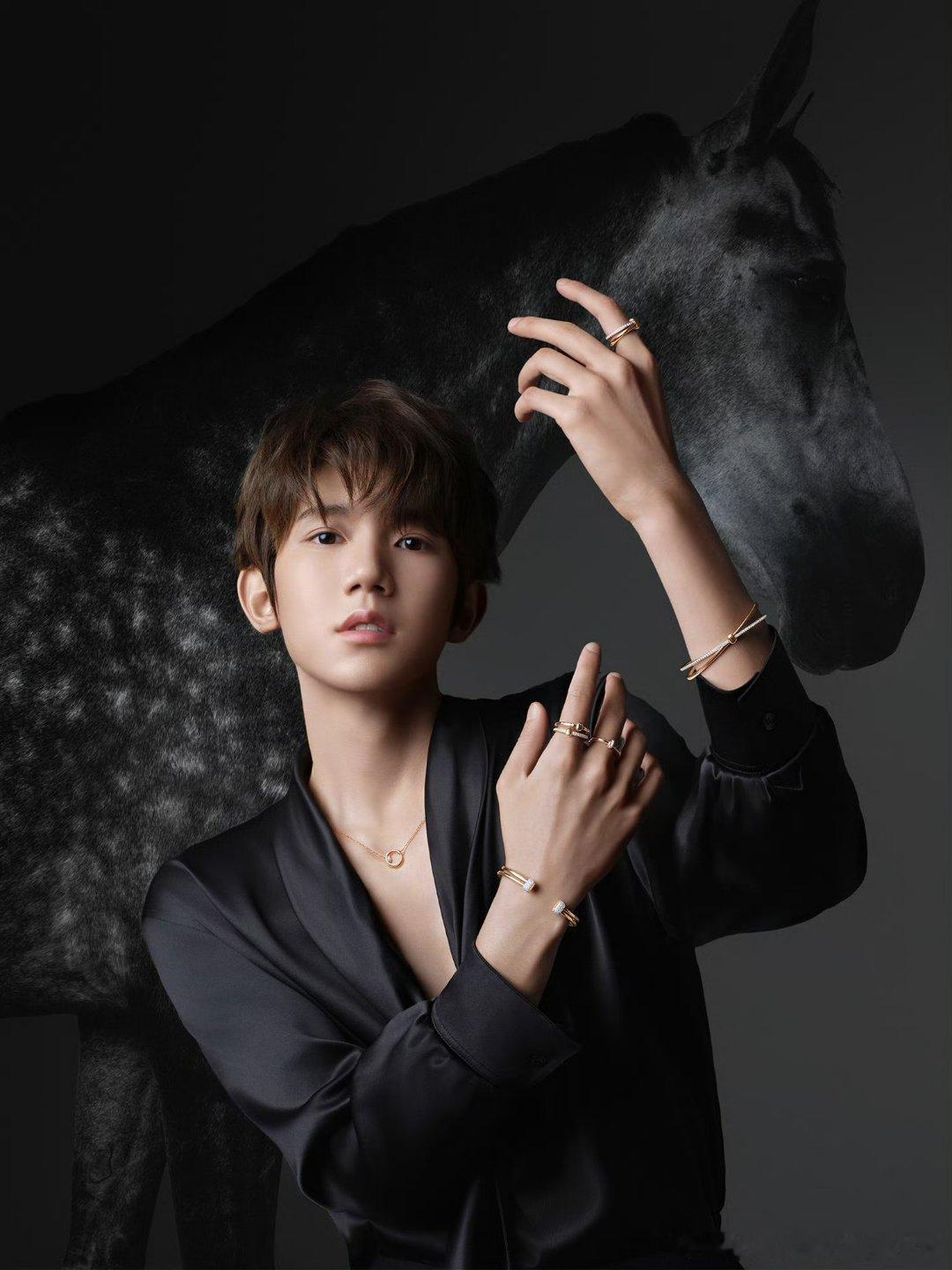 有个疑问，王源为什么能当宝曼兰朵的全球代言人啊？