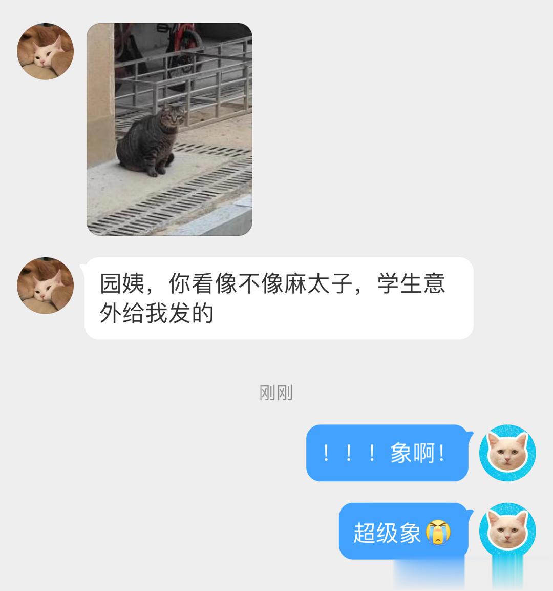 好像我儿子啊，太像了[泪] ​​​