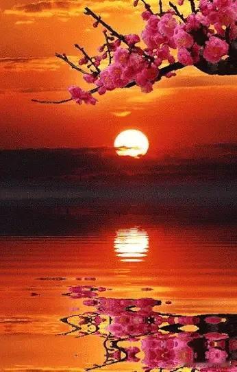 早晨起来喝一杯水,喝什么水? 喝一杯温开水