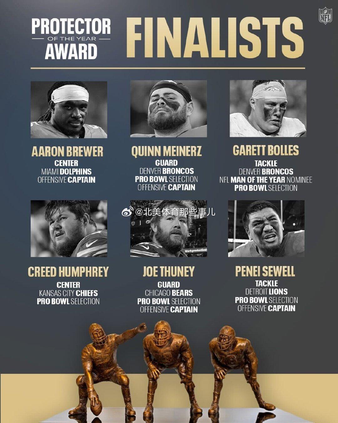 看得出来，在冷门的小项目中，专业的人评选专业的事情效果很好。但是，对于最终 fi