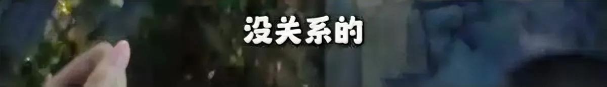 走盲道被撞了

反倒被骂不看路？

你敢信这是逆行占盲道的电动车主说出来的话？