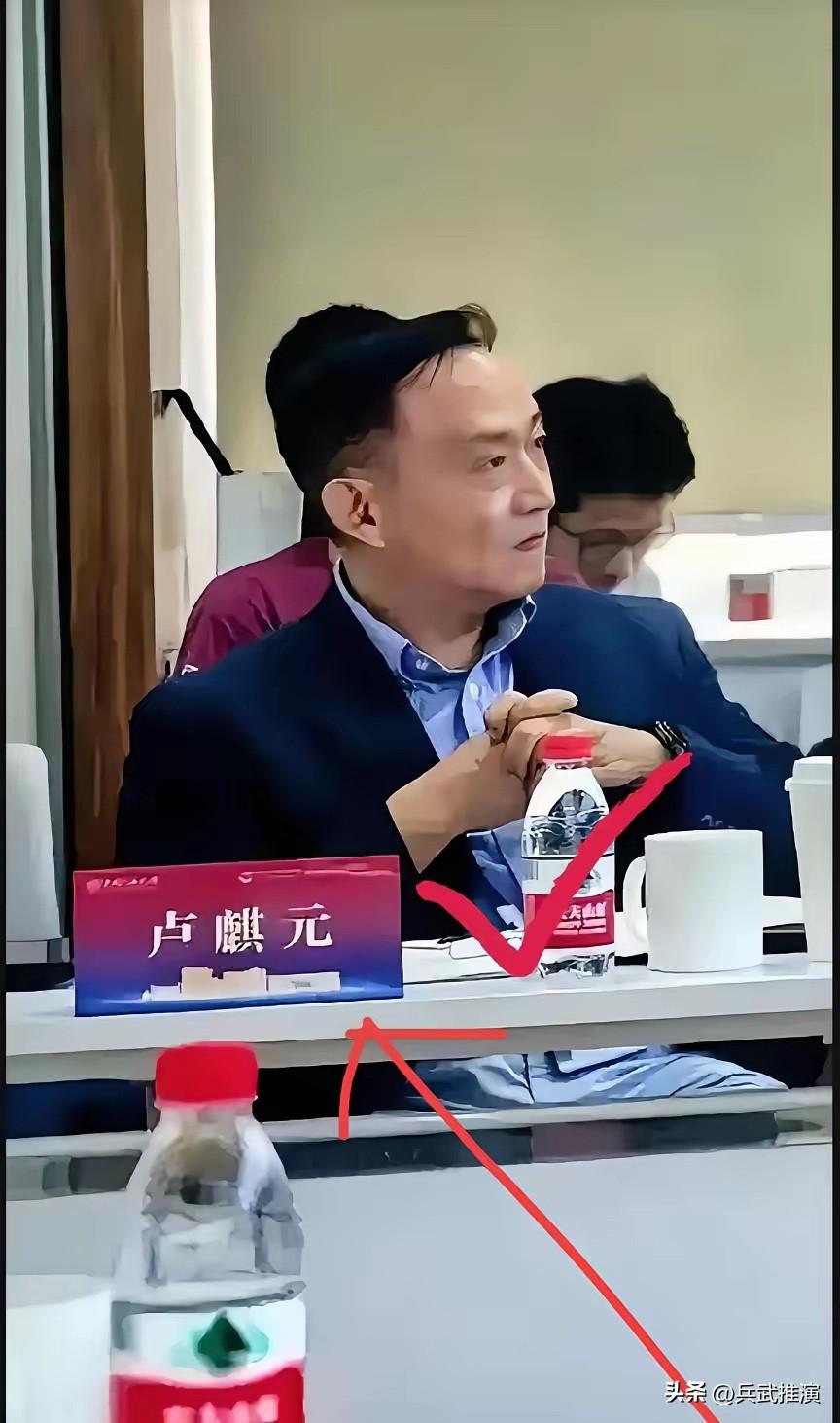 卢麒元这桩事，越想越觉得憋屈。

他敢把经济疲软的根子挖出来，说就是"走资"，这