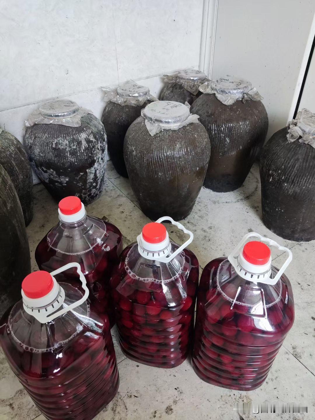 泡药水的杨梅太危险，不如直接买余姚杨梅酒。没有科技狠活。
