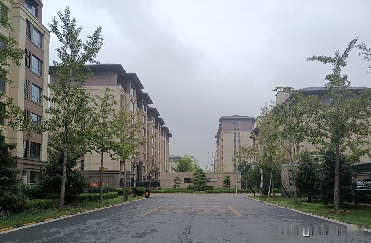 寻常小区风景
——骤雨初歇，路面留存浅浅水洼，倒映两旁葱郁林木。整齐长椅静立道边