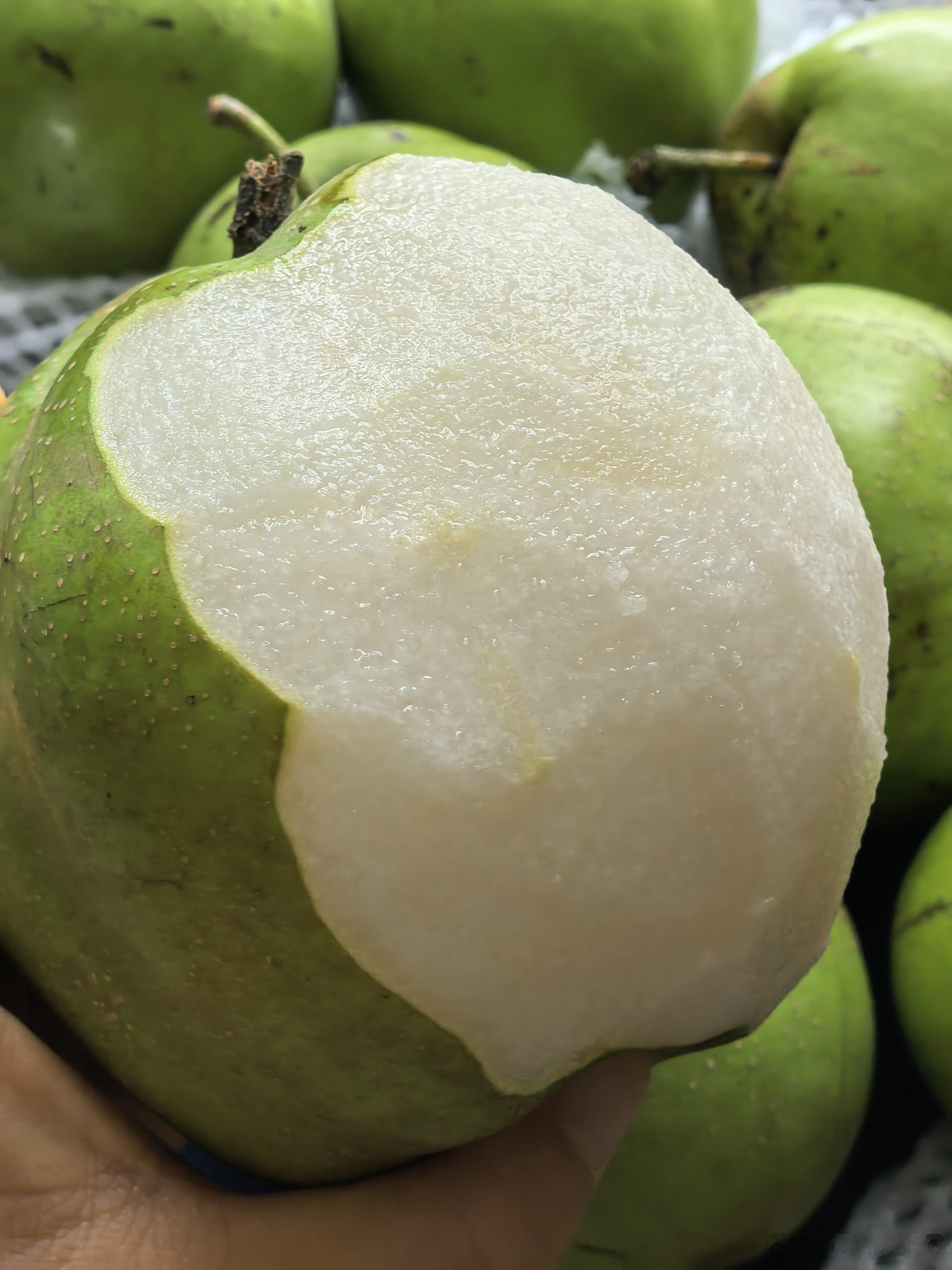 美食生活 其貌不扬，一口下去，惊为天梨🍐这家伙太适合这个季节来吃了不可辜负的美