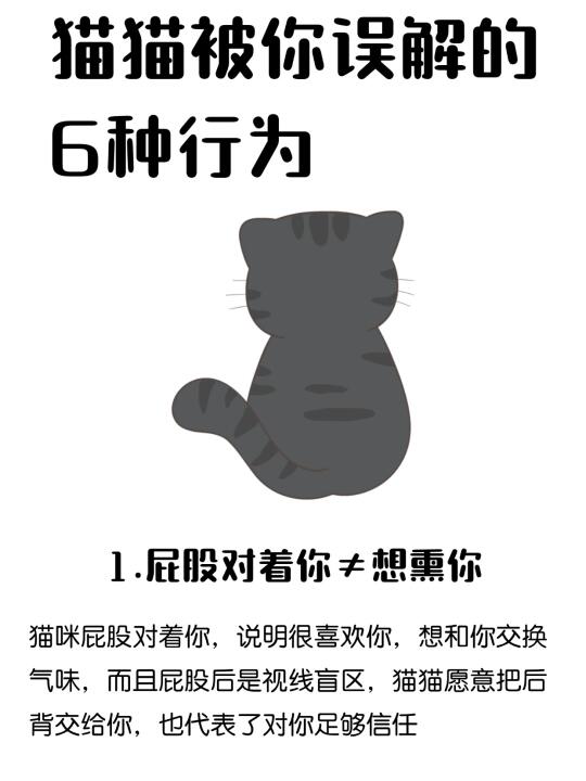 猫咪行为大揭秘！别再误解你家喵