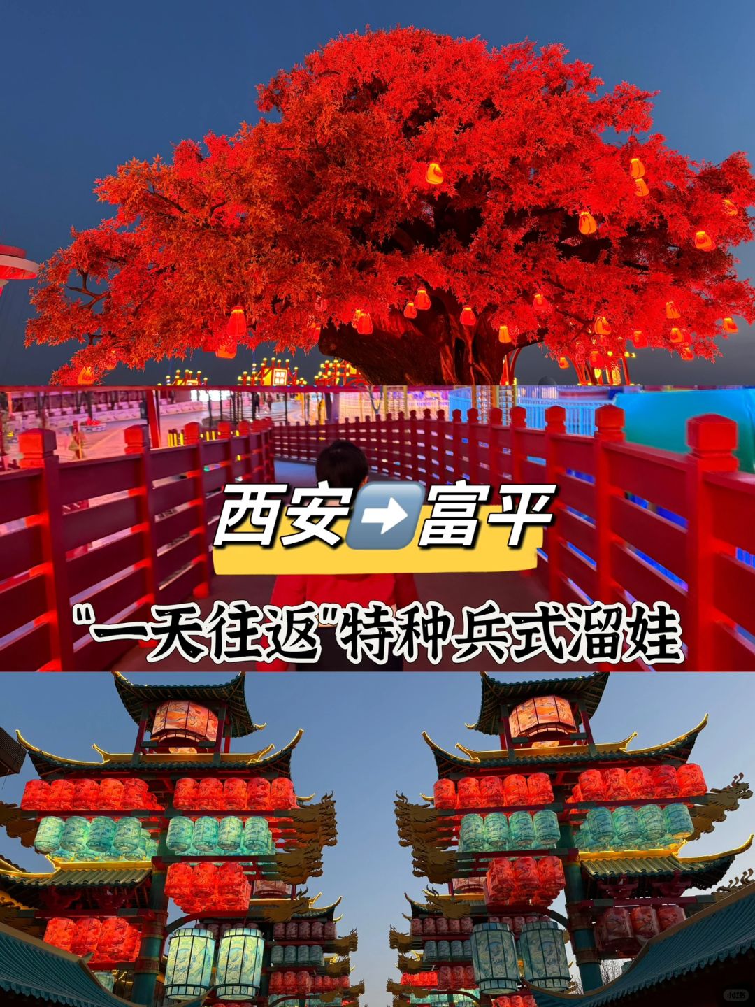 西安➡️富平｜看篝火晚会、老虎、喂萌宠的一天