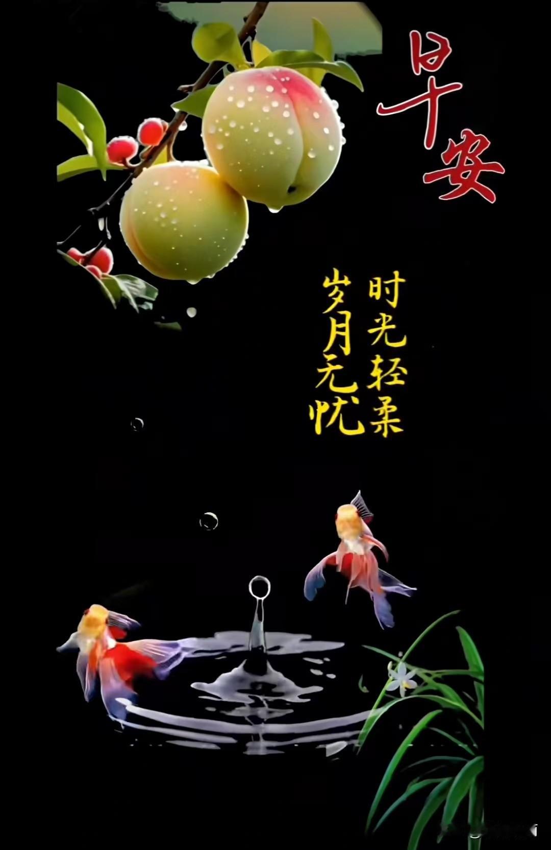 墨底裹晨光，桃枝垂露。水珠坠水，漾开细纹，惊得金鱼摆红尾。
“早安”染暖，衬着“