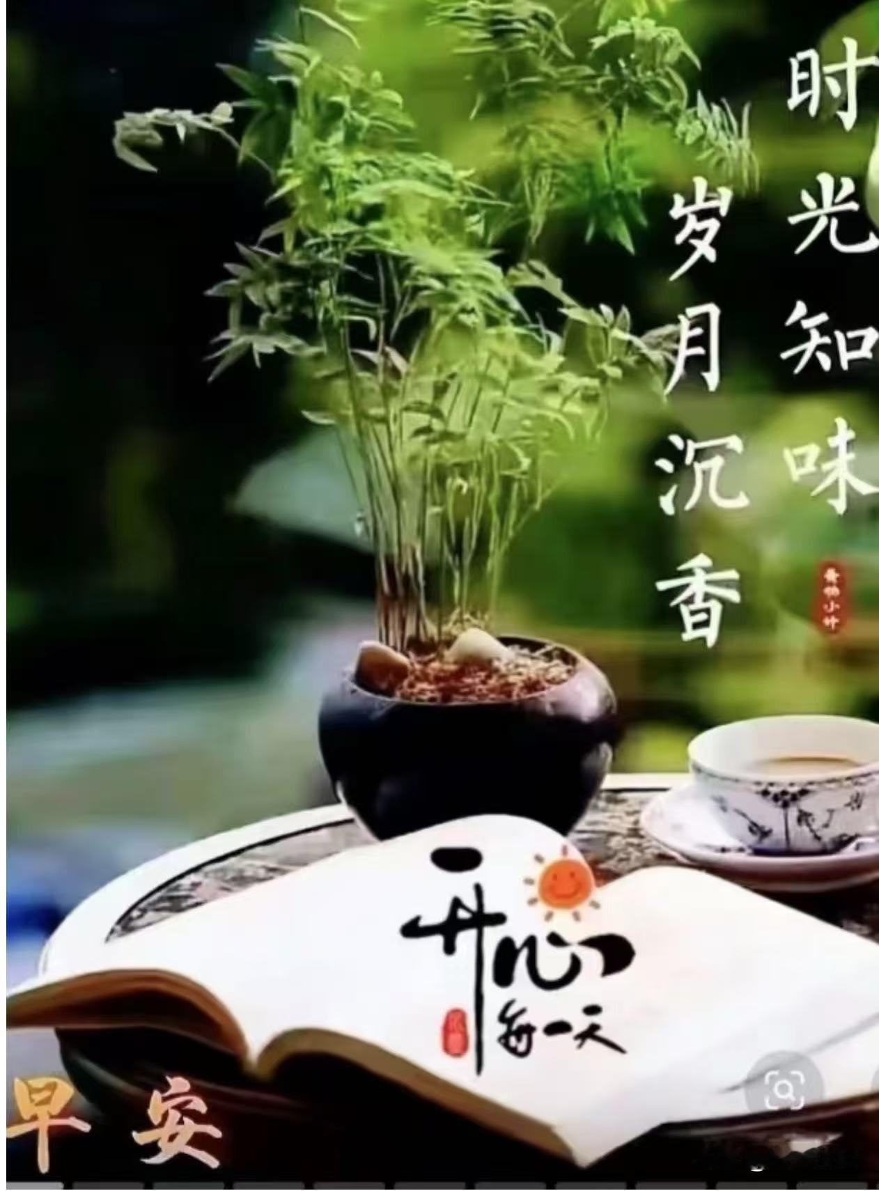 五律《岁月静好》

青春皆远去，
晚景亦堪佳。
岁月从容度，
身心自在嘉。
常开