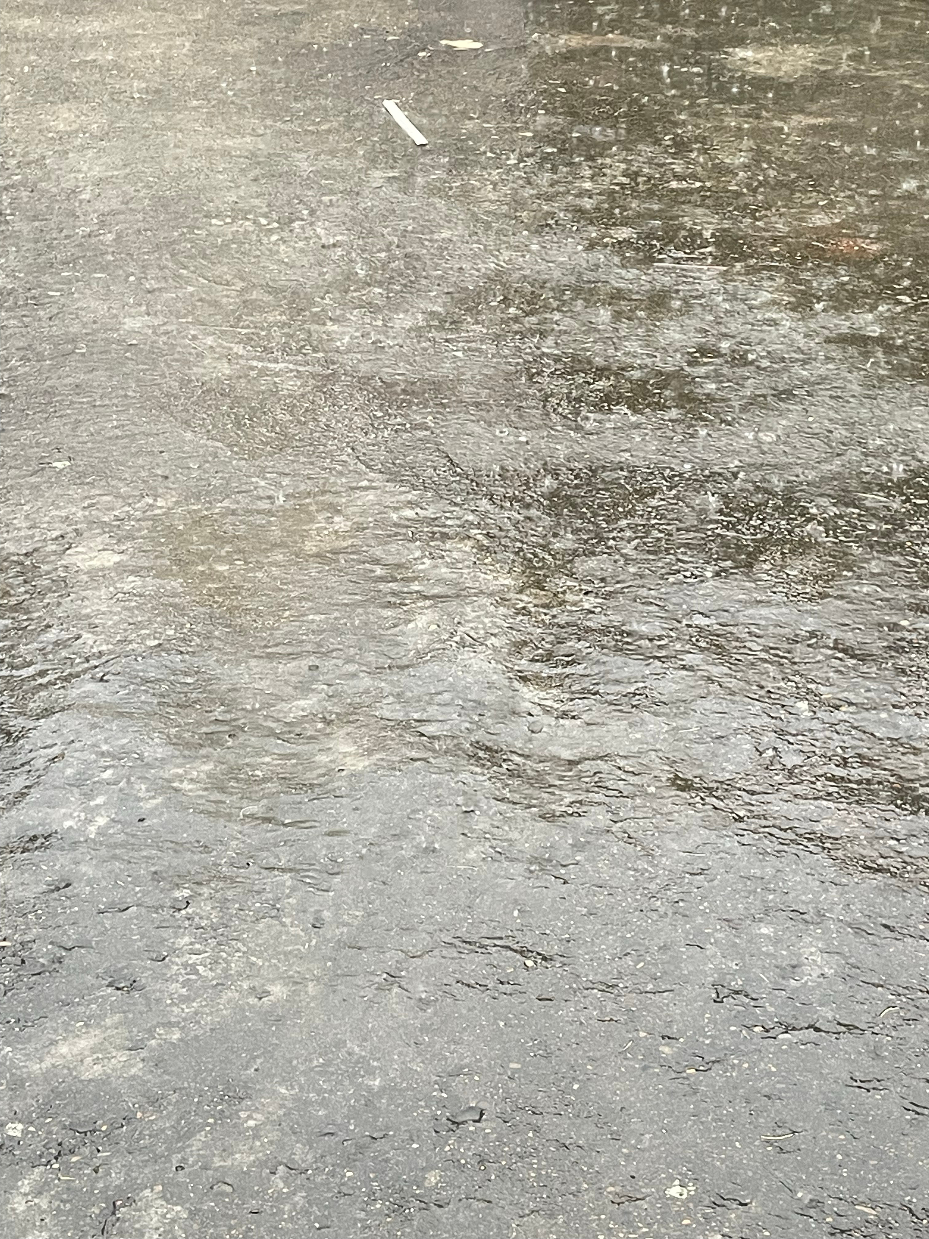 我滴妈 又暴雨了还刮特别大的风