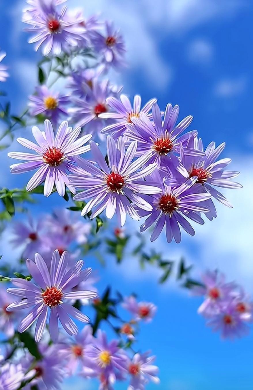 对他人的期待，就是对自己的暴力！我们终其一生都没有办法从别人那里获得幸福，早早懂