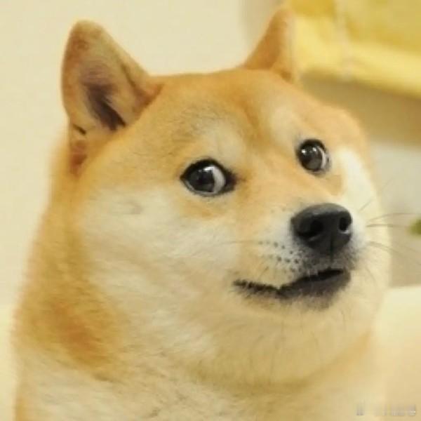 众所周知，安卓充电头充的电是不如苹果充电头充的电更耐用的。[doge] ​​​