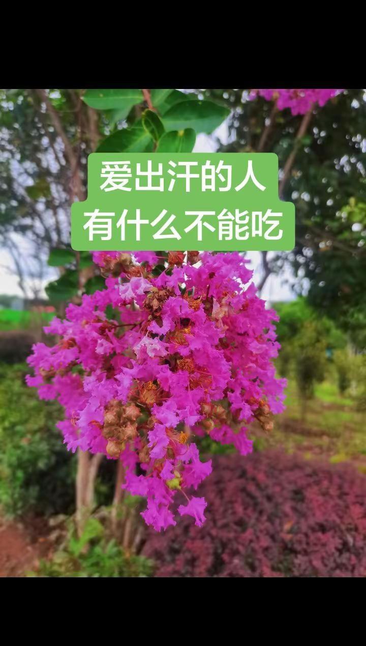 尔曹身与名俱灭，不废江河万古流。。乒超大连收官夜，王楚钦被黄旭男逆转，转头双打六