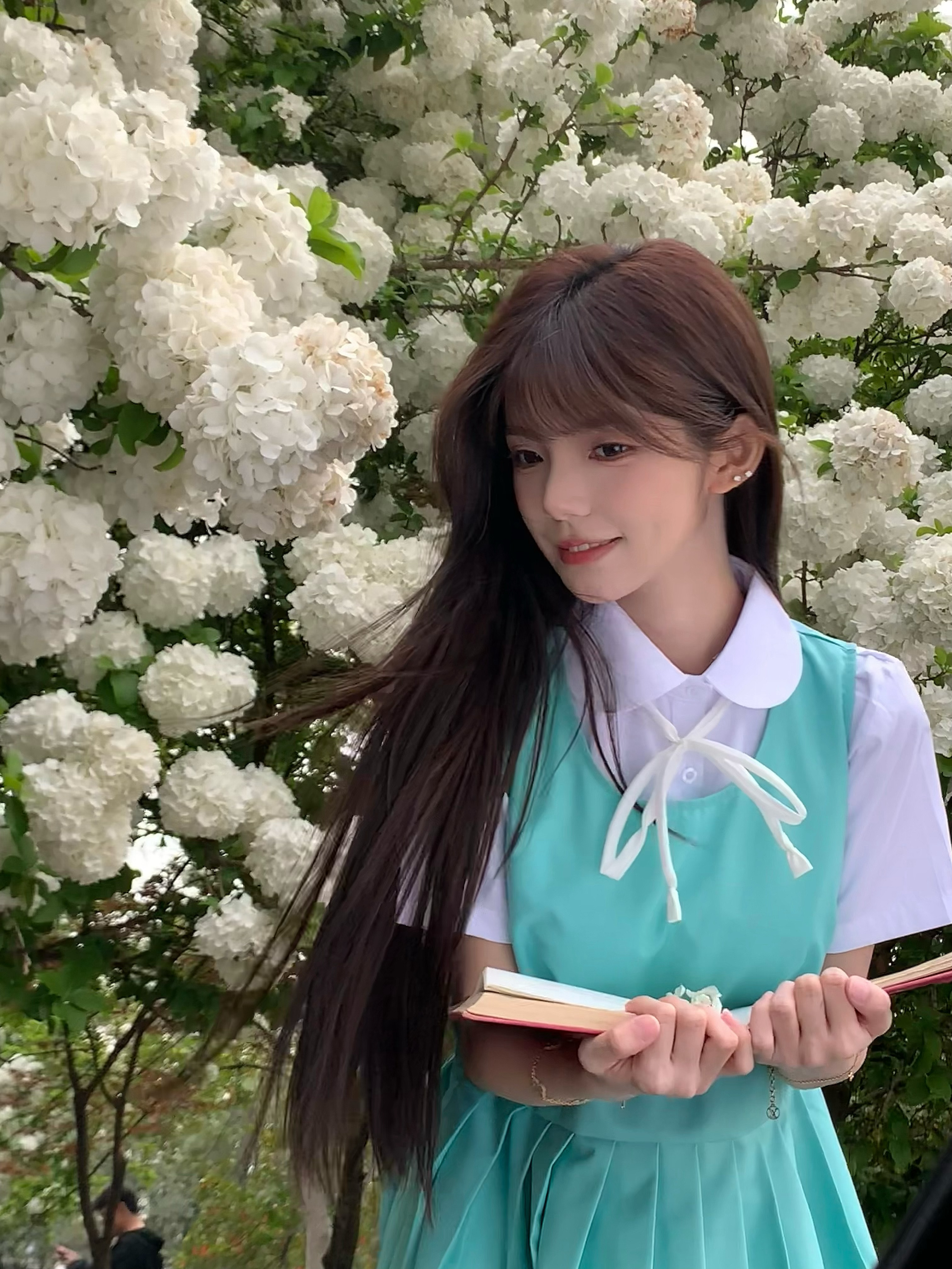 绣球花 ​​​